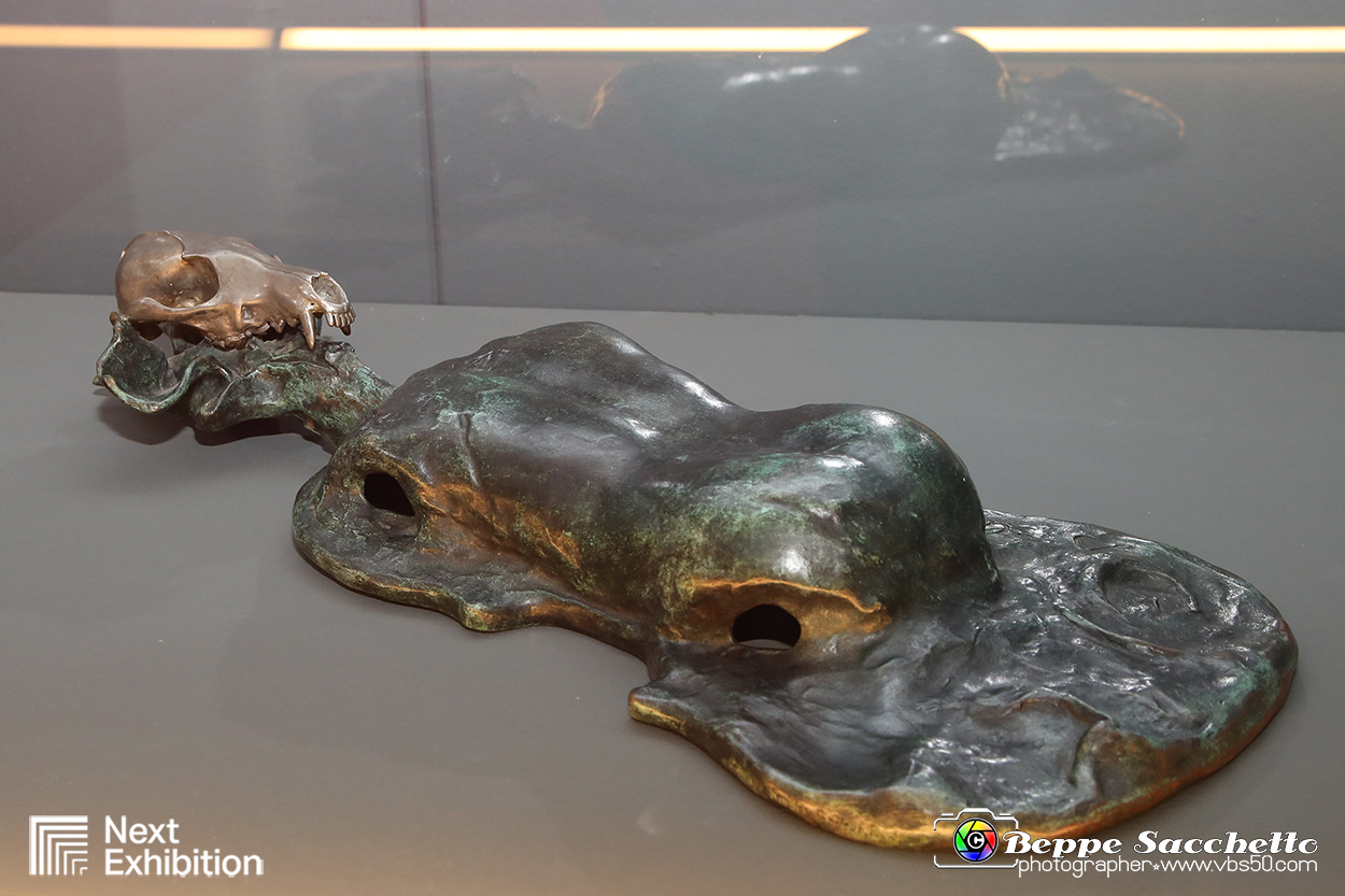 VBS_7775 - Salvador Dalì - The Exhibition.jpg